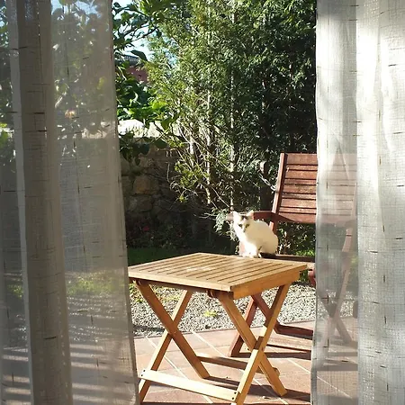 Altamira * سانتيانا ذيل مار